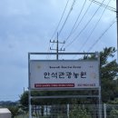 신기농원 | 안석관광농원 글램핑 1박 내돈내산 후기