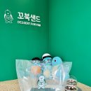 꼬북샌드여수 이미지