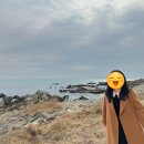 아난티 이그제큐티브 킹사이즈 오션뷰/ 아난티 이그제큐티브룸 후기/아난티 앳 부산 코브 호캉스 후기