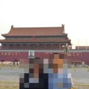 김해이민행정사사무소 이미지