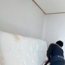 다온클리닝 이미지