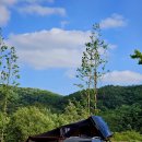 합강캠핑장(C존) 이미지