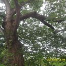 화수분농장 이미지