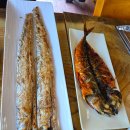 탐라은갈치 이미지