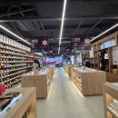 일등약국 | 강남역 핫플레이스 놀거리 추천 옵티마 웰니스 뮤지엄 약국 방문 후기