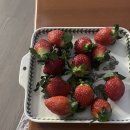 조나단스쿨(주)