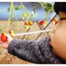 수혁농장 이미지