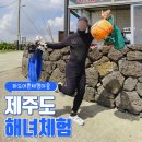 하도어촌체험어장 | 제주 해녀체험 하도어촌체험마을 다녀온 후기 (+예약 방법, 준비물 등)