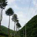 품안마을1 이미지