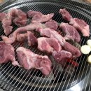 고령고기