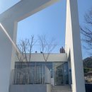 오르토커피(ortho coffee) 이미지