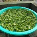 (주)행복한밥상 이미지