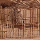 터키벨리 | 내돈내산 리얼 터키 선셋 로즈벨리 투어 후기, 카파도키아 괴뢰메 맛집(1일차)