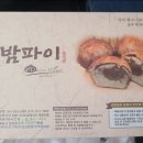 밤마을 이미지