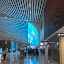 고쓰몰 | 아이랑 4박5일 후쿠오카 여행(1), 후쿠오카 렌트카｜기타규슈 자연사박물관｜벳부 한인에어비앤비