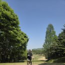 시그너스CC(대중제) | 충주 시그너스cc 솔직 라운딩 후기 26년 4월