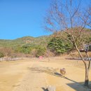 도움목장2 이미지