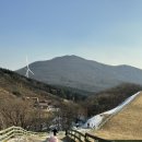 능성목장 네이버블로그