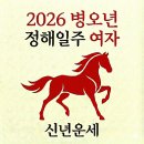 정관종합정비 | [ 2026 병오년 신년운세 ] 정해일주 여자