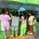 화순천재어린이집 이미지