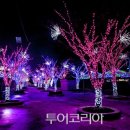 별빛슈퍼 이미지