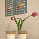 에스타 프리마베라(esta primavera) 네이버블로그
