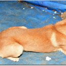 토요일오후 이미지