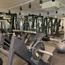 짐쉐이프 이미지