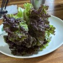 남촌실비식당 | 춘천 남촌막국수 방문 후기 / 소양강스카이워크, 레고랜드 근처 현지인 추천 막국수 맛집