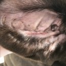 이다종합동물병원 이미지