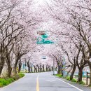 주산공원 이미지