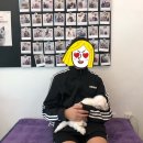 미스터 멍 애견샵 이미지