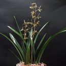 전임농장 이미지