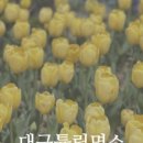 하운드호텔 대구성서 이미지