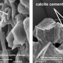 샌드하우스 이미지