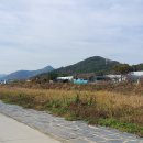 유성천 이미지