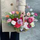 서진약품 이미지