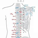 장부(臟腑)의 혈(穴)과 위치 수정 이미지