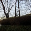 오창중앙약국 이미지