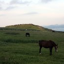 우도목장 이미지