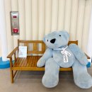 바이오매스에너지시설 화장실 | 경북 경주ㅣ힐튼 경주 키즈카페 위치, 주차, 시설 꼼꼼한 후기:) 안녕경주야