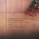 오늘의 &#39;영어 명언&#39;(149강) 마크 트웨인(Mark Twain) 이미지