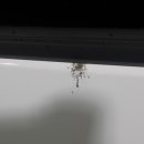 화인셀프세차 이미지