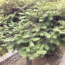 삼성그린주유소 이미지