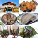 황금어장 대소점 이미지