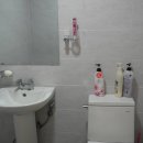 산방산의 품 이미지