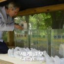 호국의 불 이미지