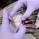 부천종합동물병원 이미지