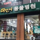 디엔씨동물병원 이미지