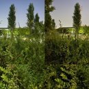 별자리 조형물(12 이미지